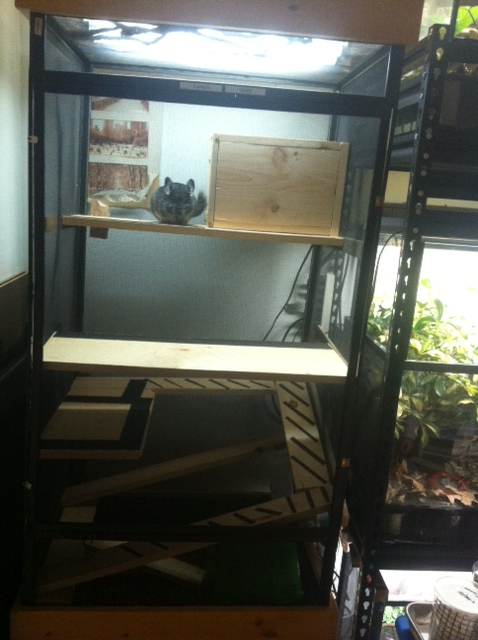 cagecomplete_zpsd327d99b.png