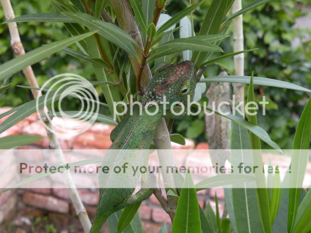 DSCN8231.jpg