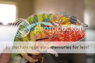 IMG_2813.jpg