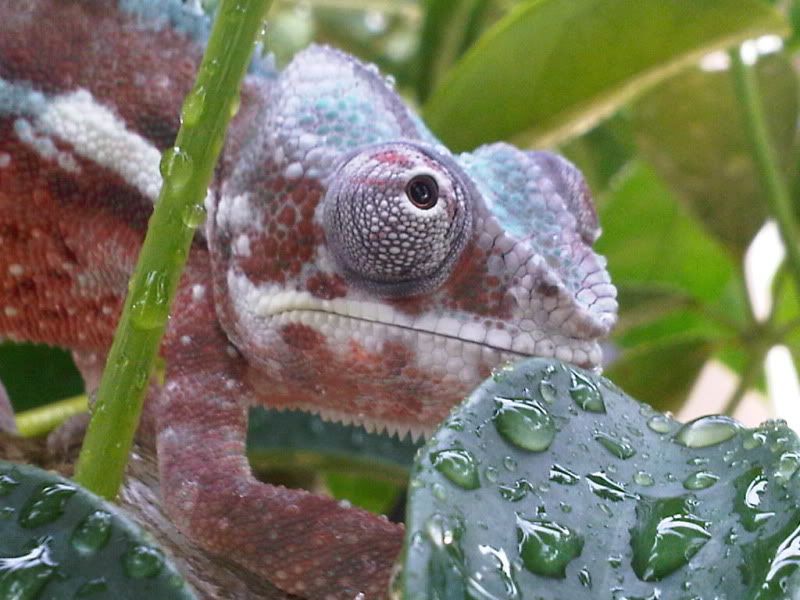 IMG01233-20110903-1620.jpg