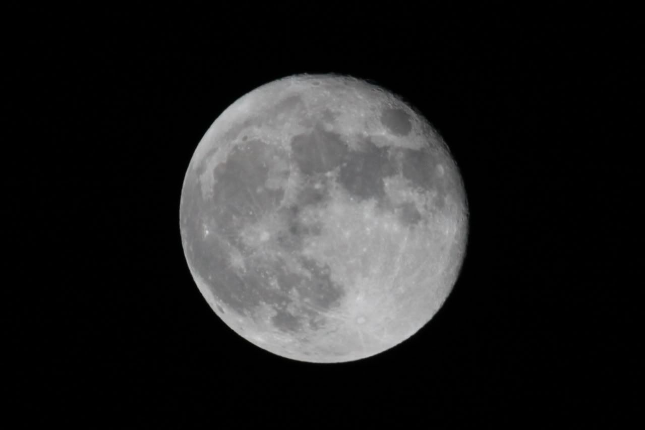 KevinZamp05_28_20102919RS.jpg