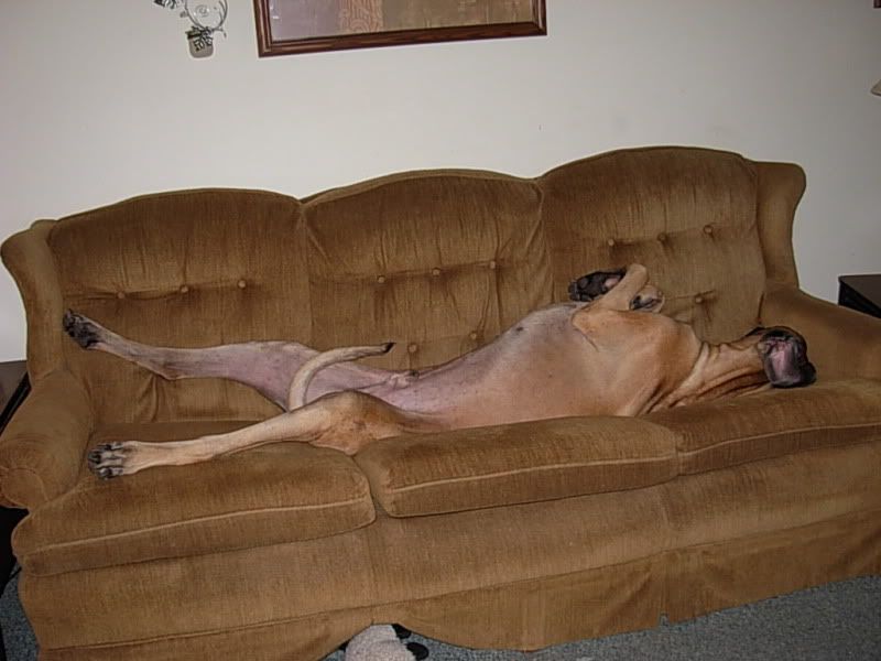 DSCN5187.jpg