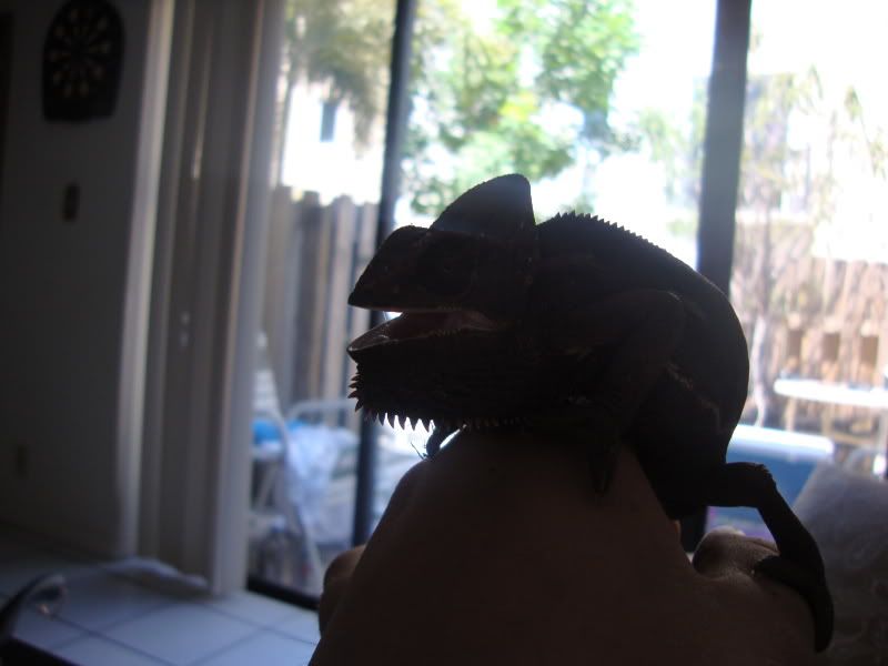 014-6.jpg