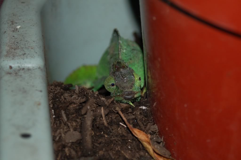 DSC_1893.jpg