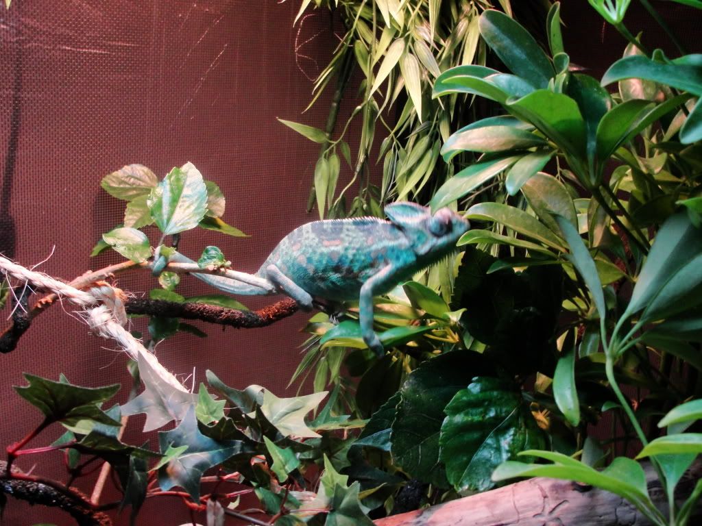 DSC00112.jpg