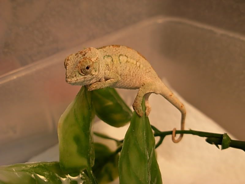 DSCN5061.jpg