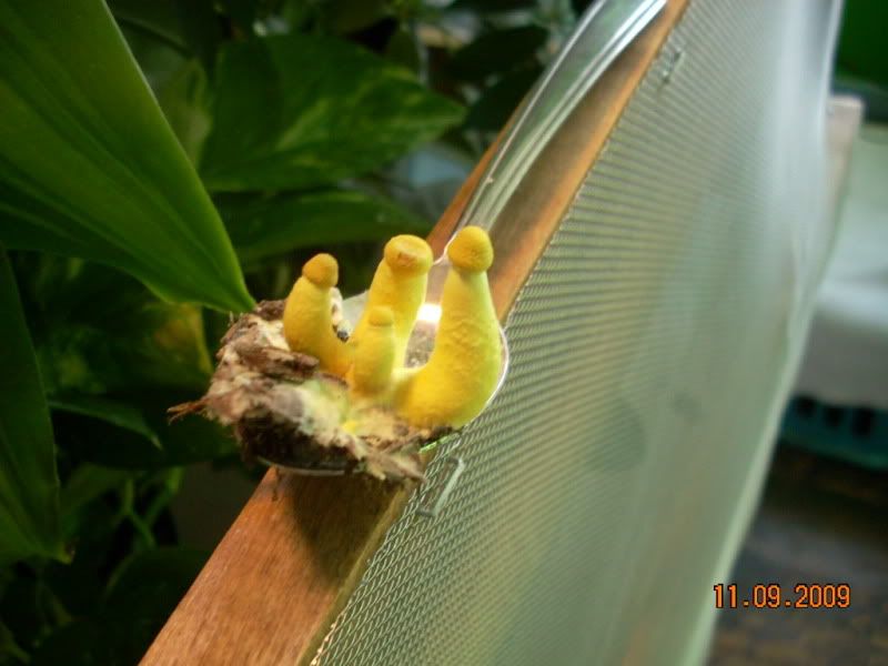 DSCN2080.jpg