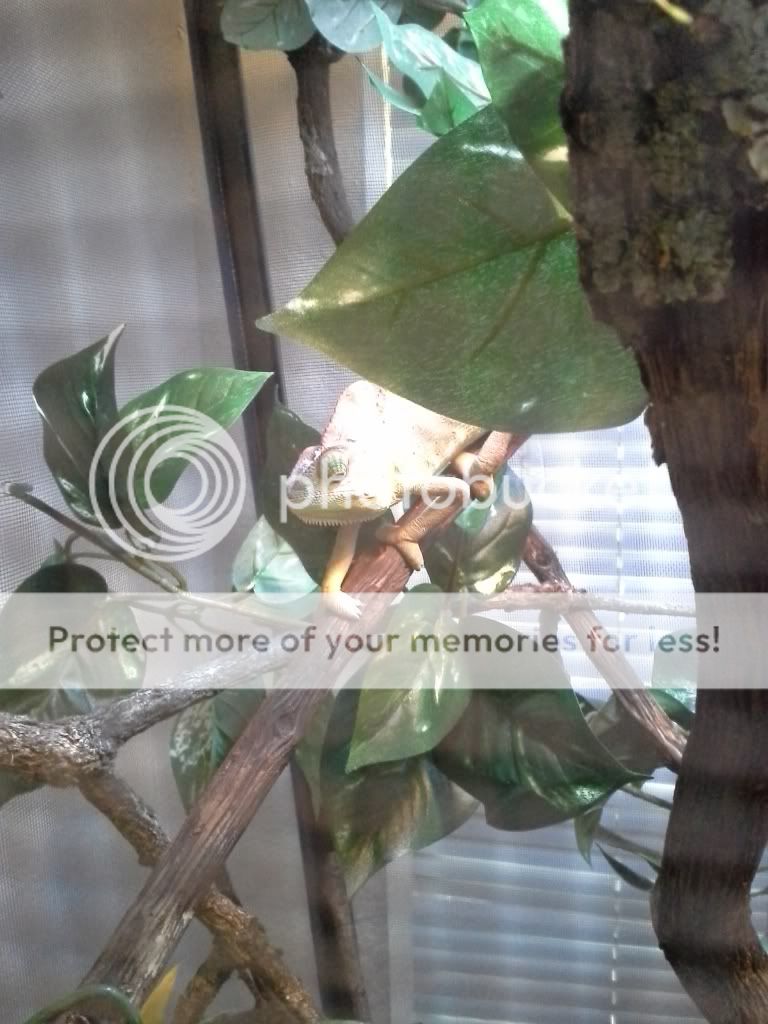 20130430_183050.jpg