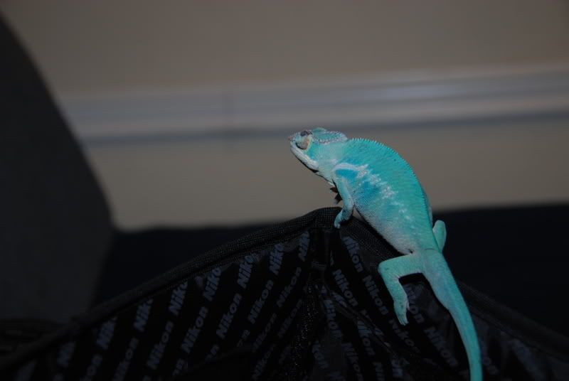 20071029001.jpg