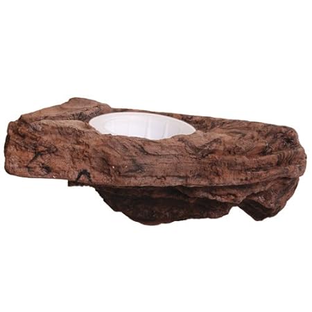 41ClhIkG2PL._SY450_.jpg