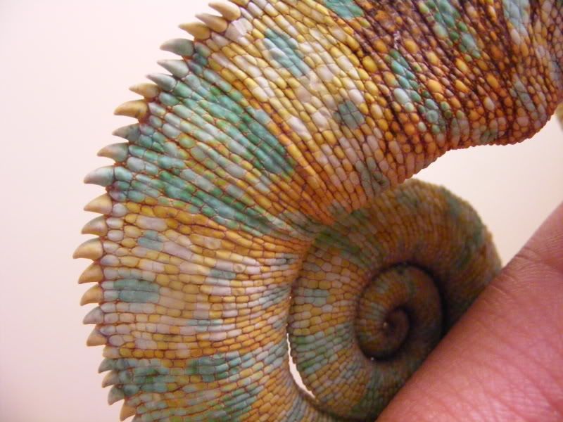 DSCF8865.jpg