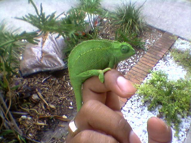 Photo-0736.jpg