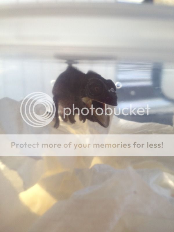 PhotoSep1214822PM.jpg