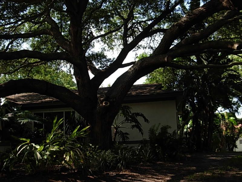 DSCN4436.jpg