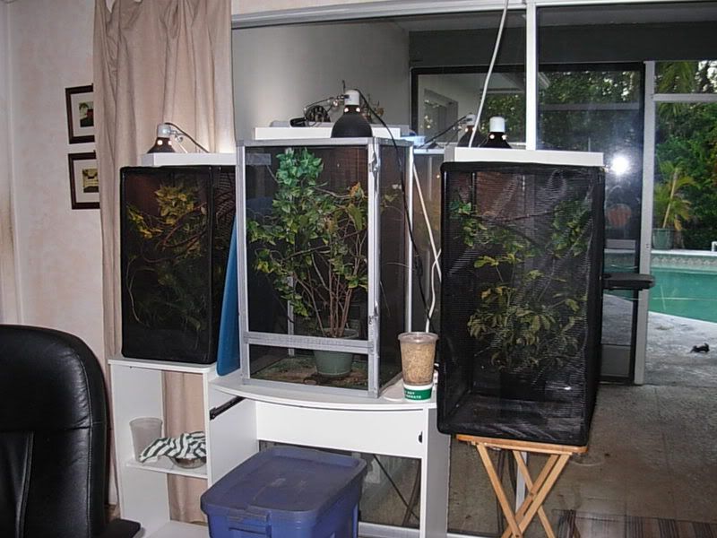 DSCN2906.jpg