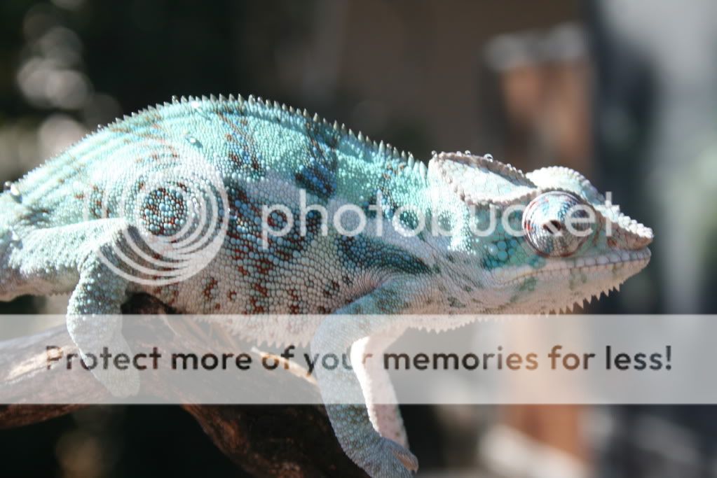 eospics9-19-09024-1.jpg