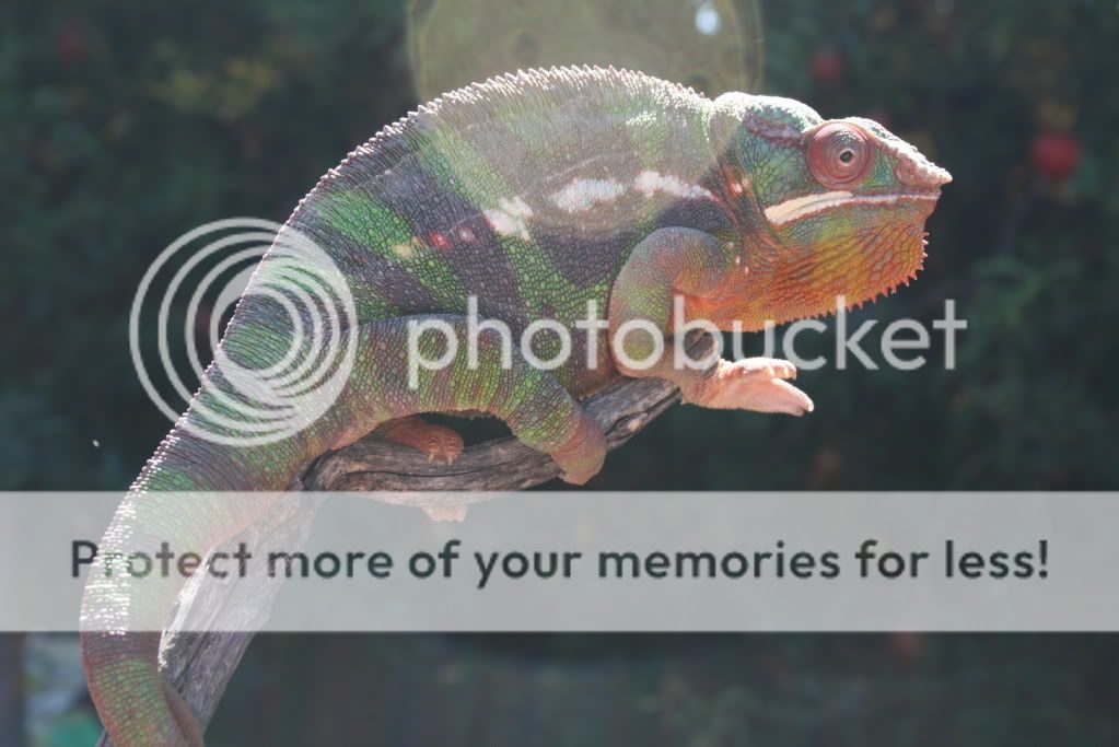 eospics9-19-09014-5.jpg