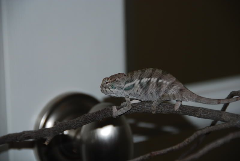 20070913067.jpg