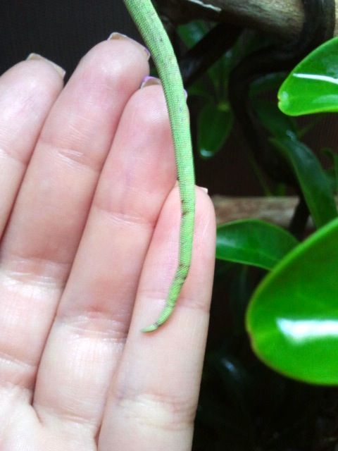 2012-08-14104927.jpg