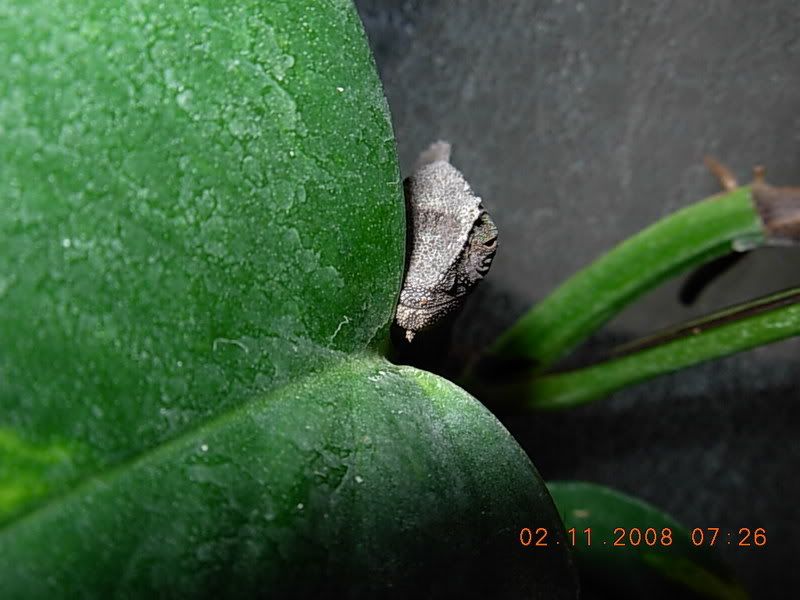 DSCN0493.jpg