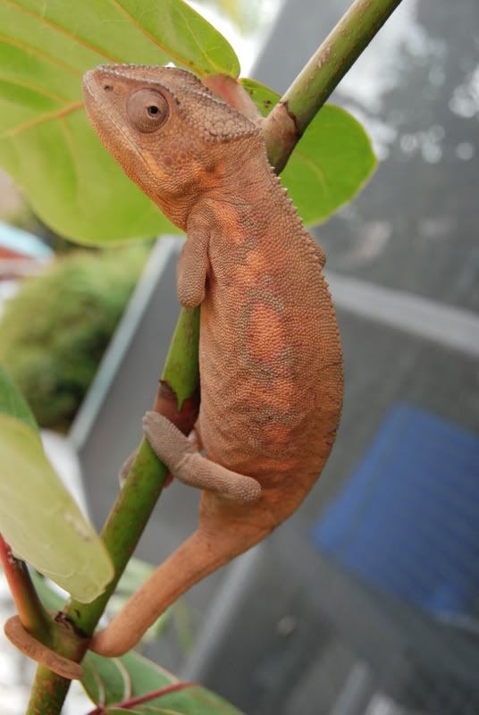 DSC_0058.jpg