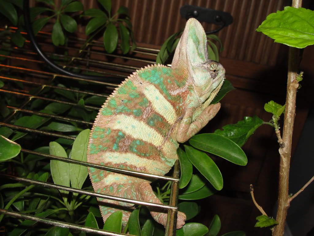 DSC01282.jpg