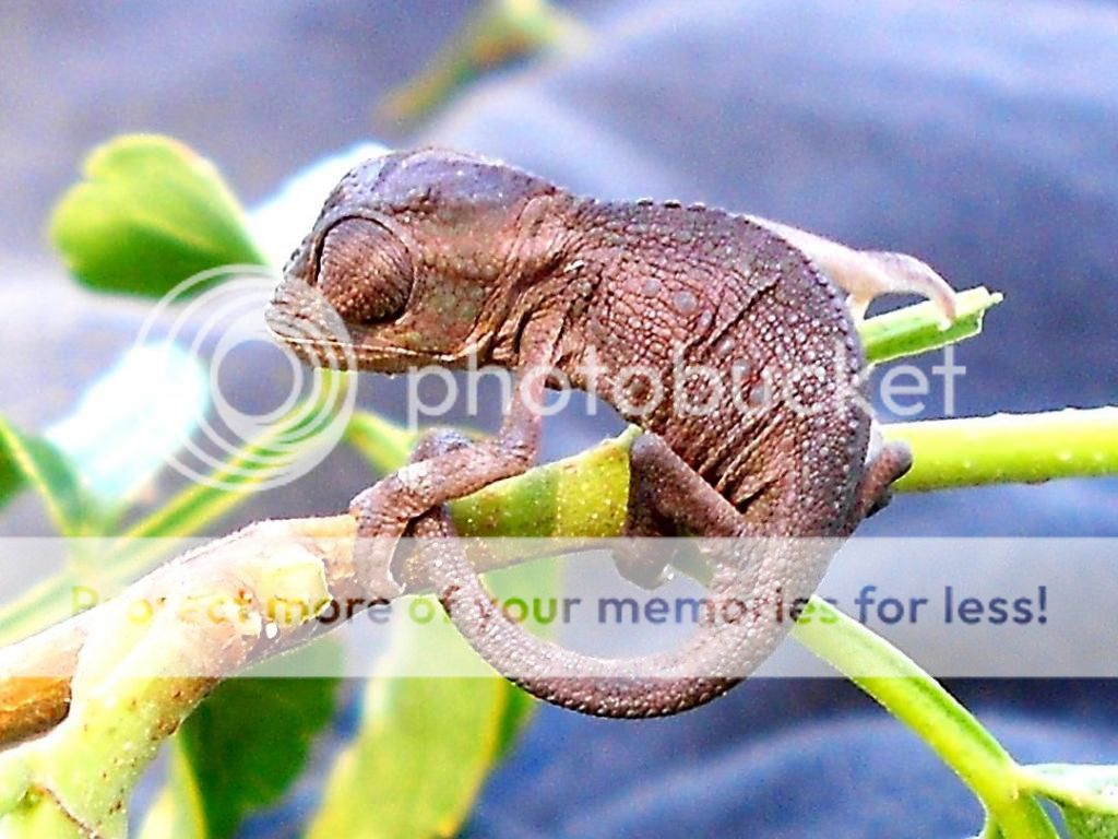 Newcamera26thSep201200201.jpg