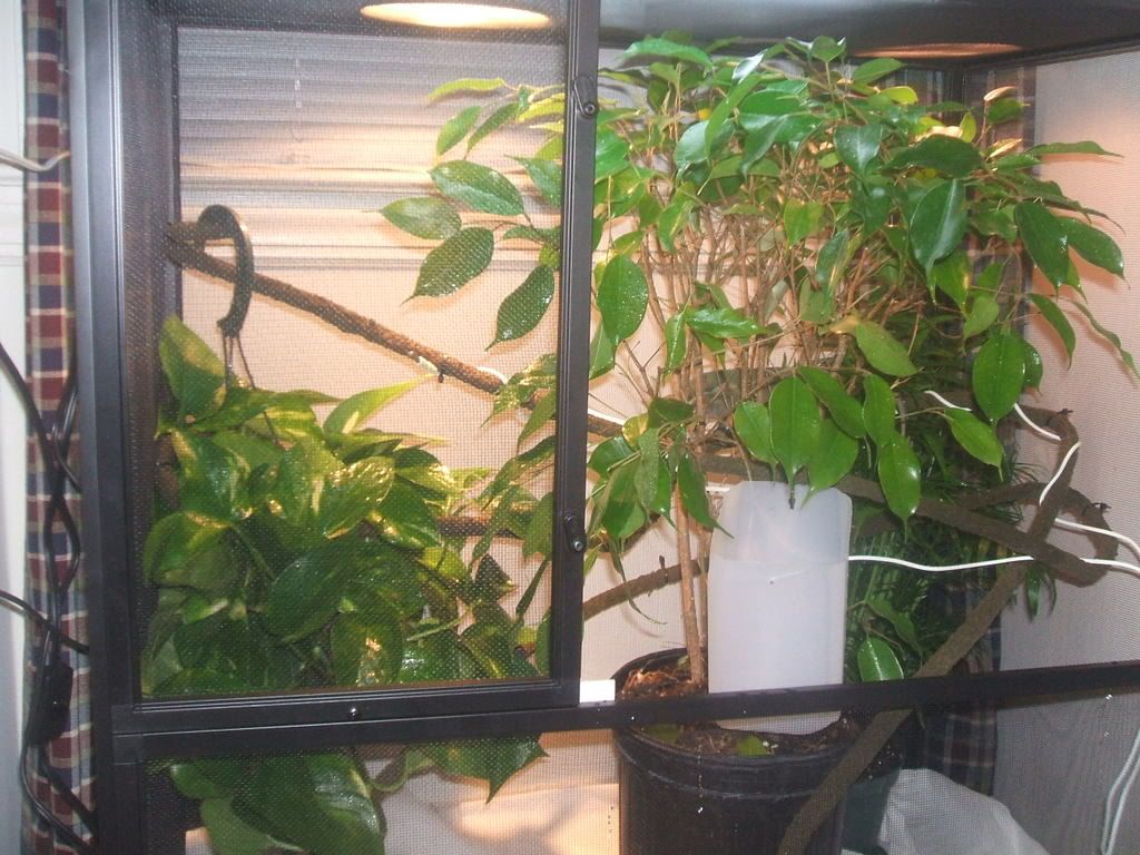 DSCF1726.jpg