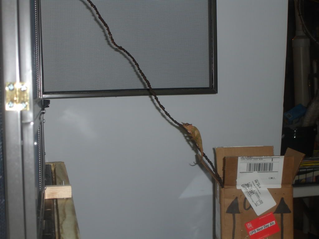 DSC04935.jpg