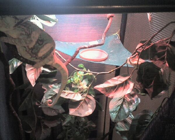 photo_13.jpg
