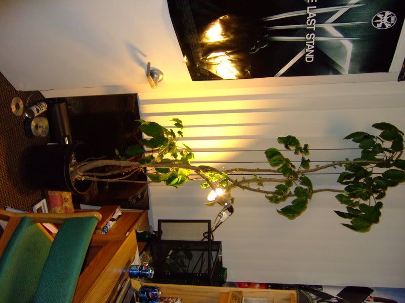 DSCF1062.jpg