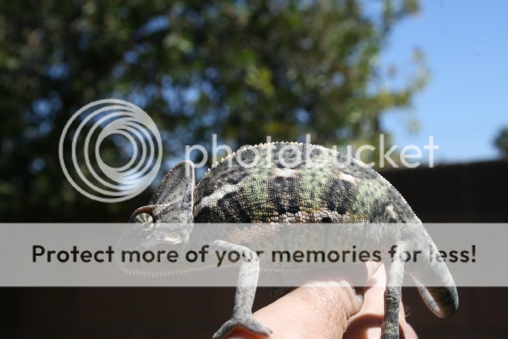 eospics9-19-09003-3.jpg