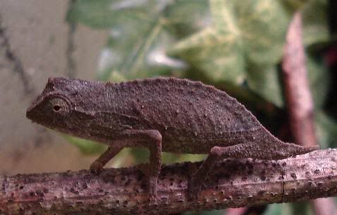 DSC09712.jpg