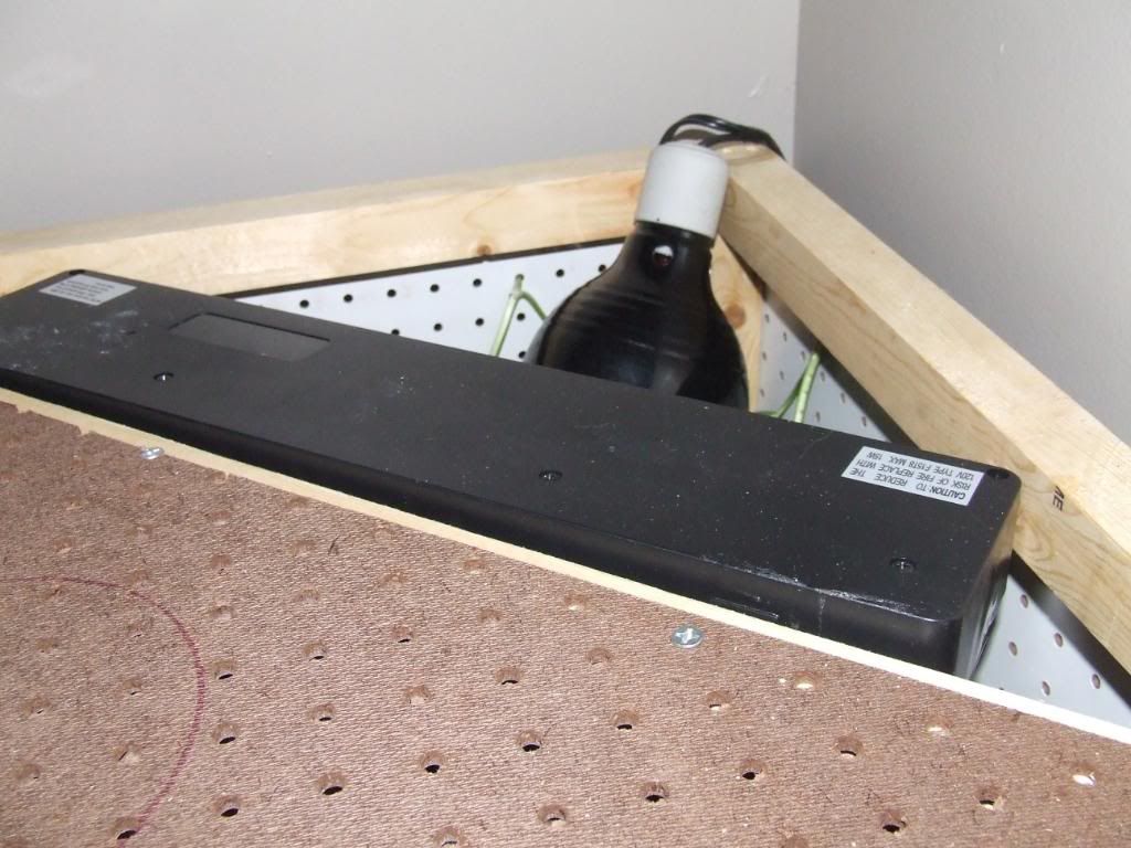 cagebuild022.jpg