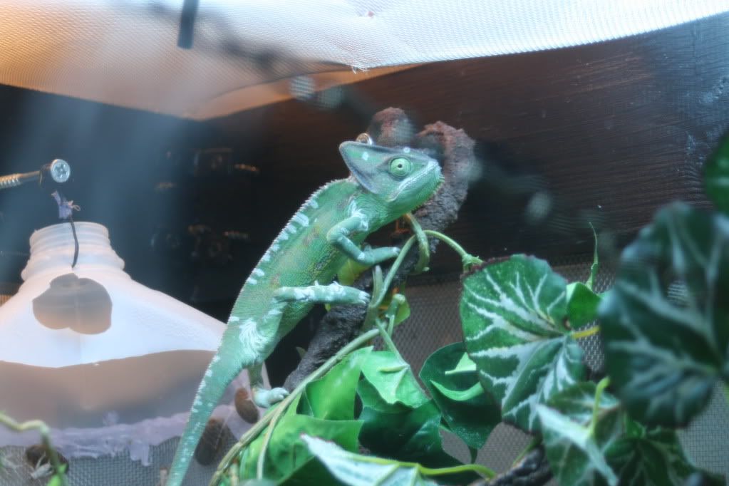 20110803_28.jpg