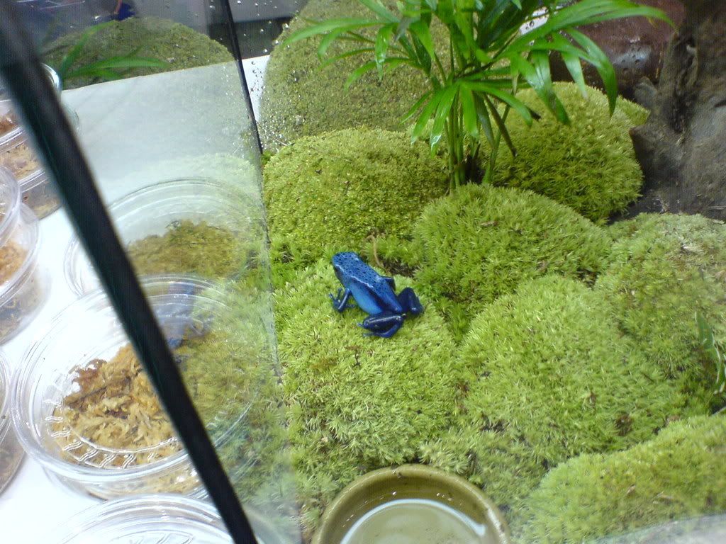 DSC00573.jpg
