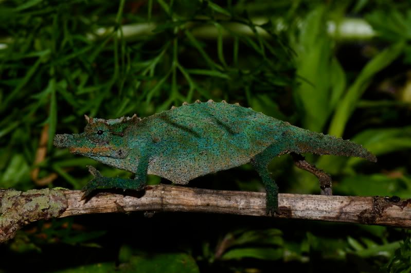 DSC_1572.jpg