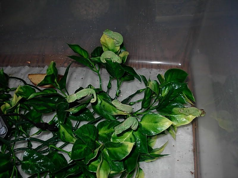 DSCN1887.jpg