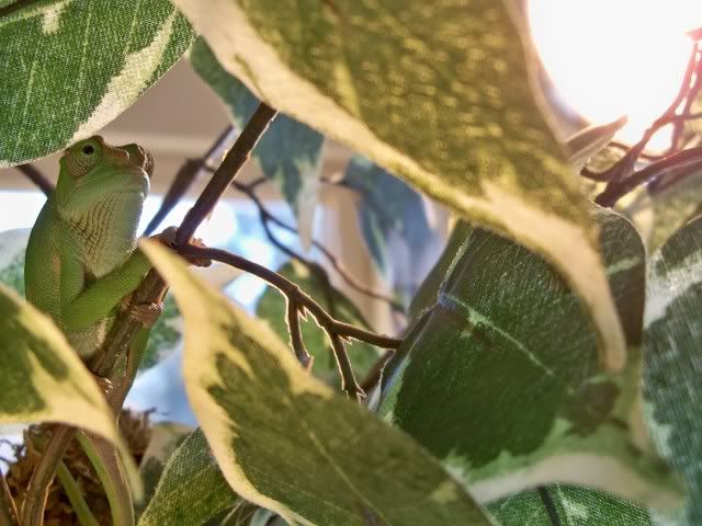 100_0657.jpg