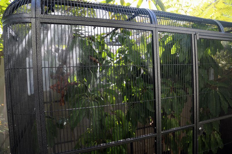 Parsons-Cage-4_zpsec19c7c0.jpg