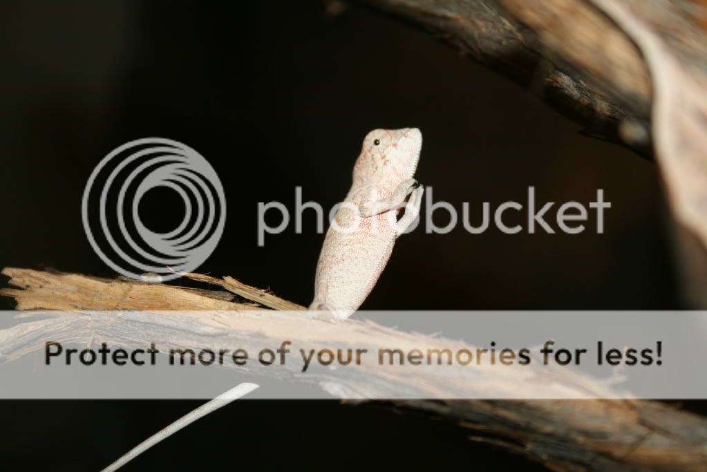 picsfromtoday001.jpg
