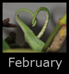 february.jpg