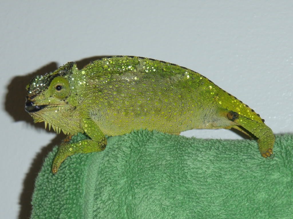 P4010340.jpg