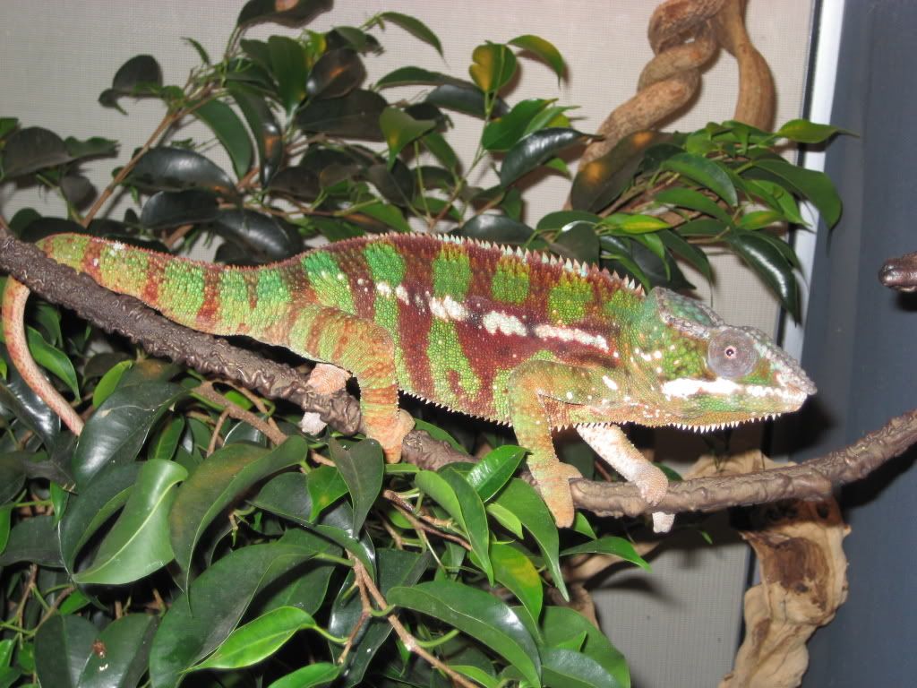 IMG_8193.jpg