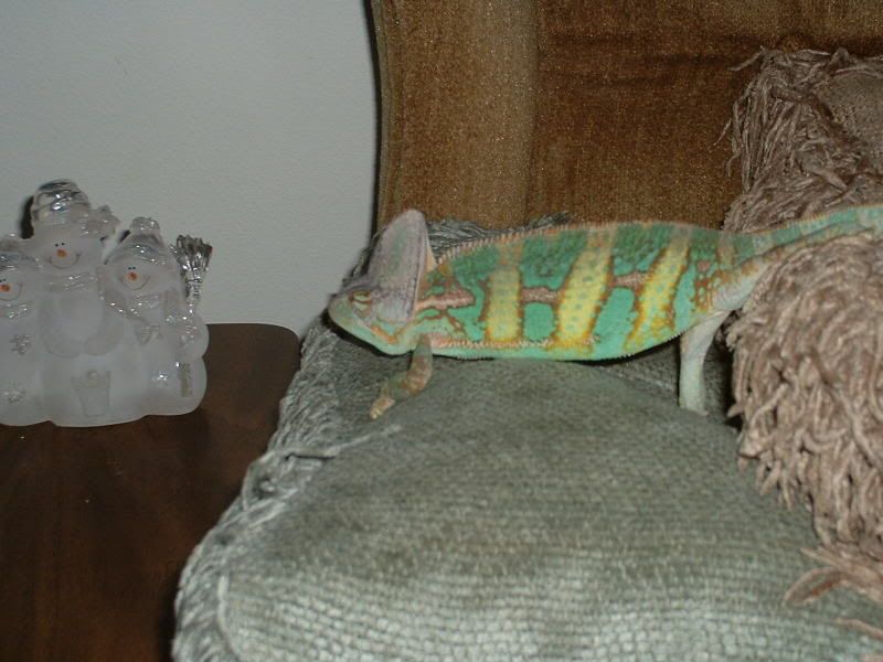 DSCF0009.jpg