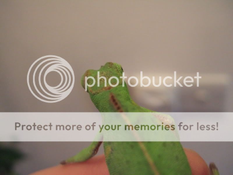 DSCF4700.jpg