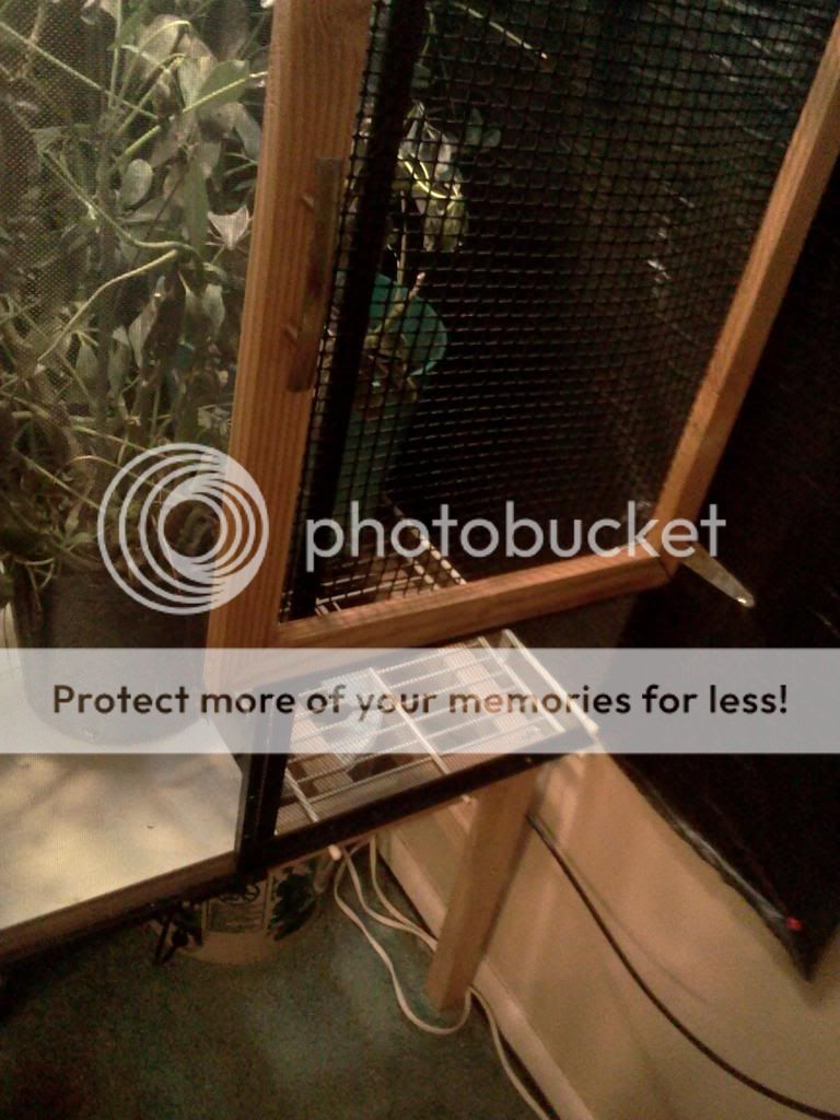 IMG116_zps8e3c6ed4.jpg