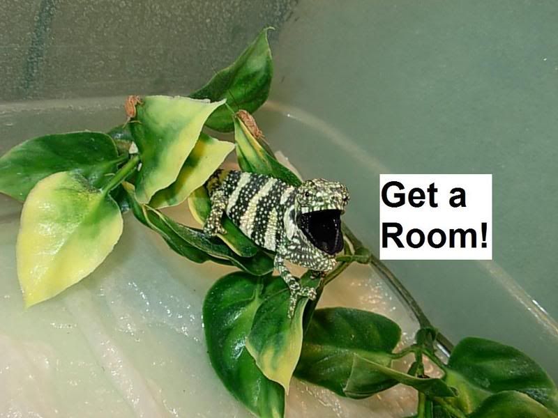 Getaroom.jpg