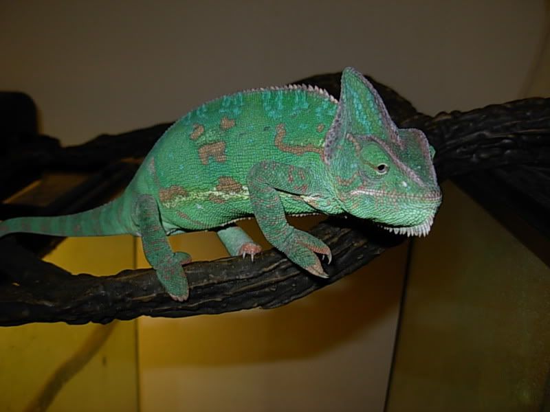 DSCN8208.jpg
