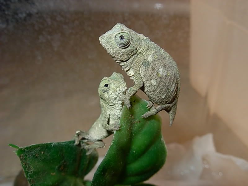 DSCN4904.jpg
